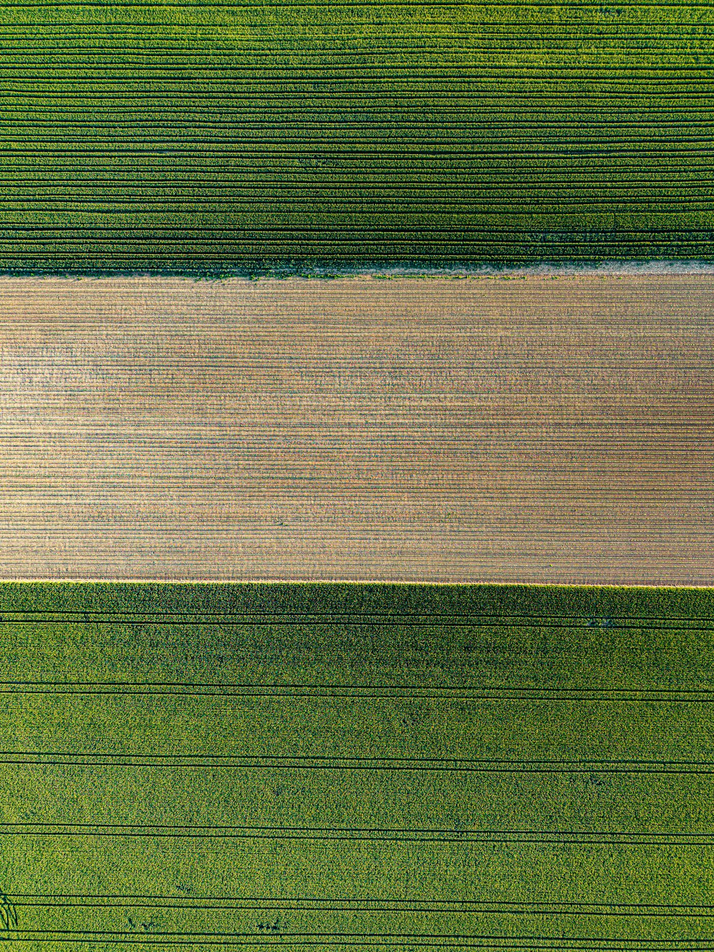 Vista cenital de bandas de cultivo verdes junto a una parcela recién labrada